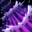 Syndra's E: Scatter the Weak